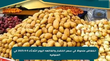 انخفاض ملحوظ في سعر الخضار والفاكهة اليوم الثلاثاء 9-9-2025 في المنوفية